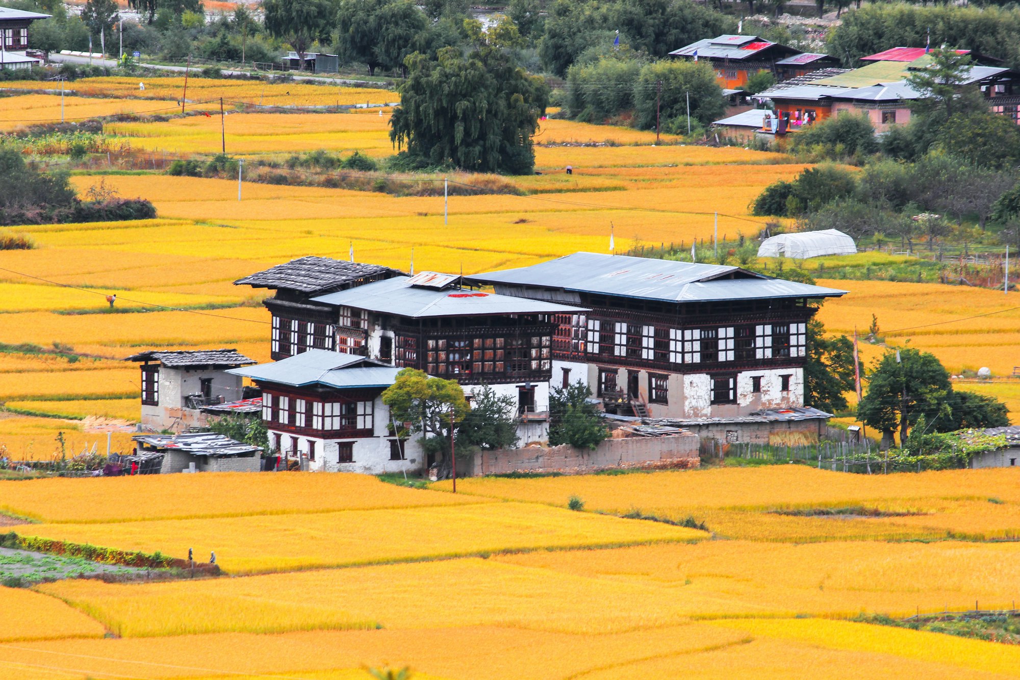 Life in Bhutan, the traditional way of farming and living